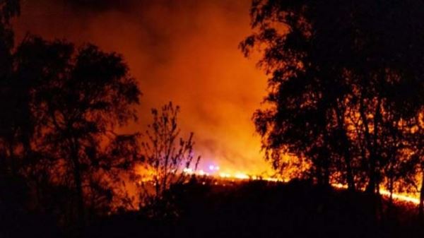 В Великобритании загорелся знаменитый лес «Винни-Пуха»