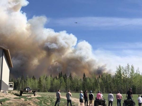 Из-за лесного пожара на западе Канады объявили чрезвычайное положение