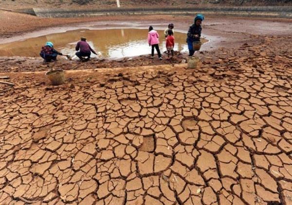 В Намибии объявили чрезвычайное положение из-за засухи