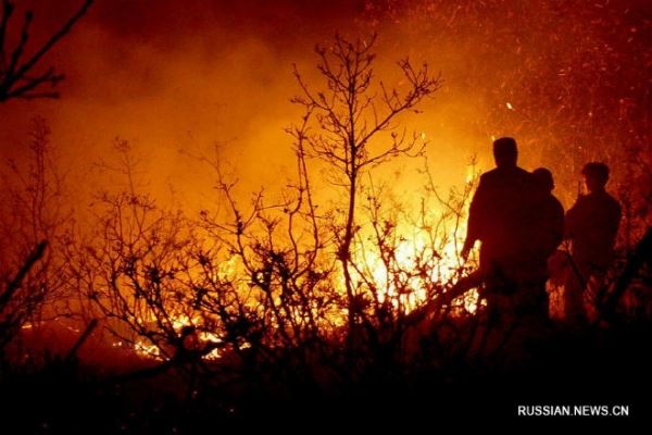 На северо-западе Китая разразился крупный лесной пожар