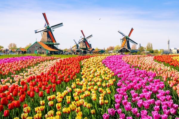 <br />
Рейтинг: в каких европейских городах уже расцвели первые майские цветы<br />
