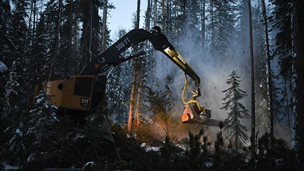 <br />
WWF запустил онлайн-платформу по сохранению первозданных лесов в России<br />
