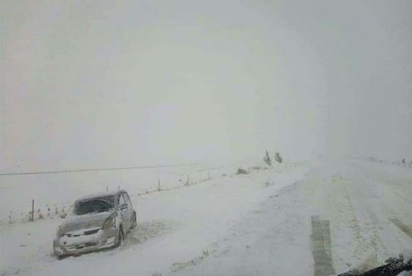 В результате снежной бури в Монголии погибли 4 человека